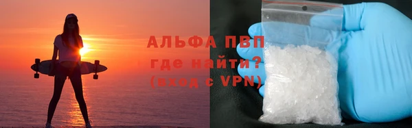 ECSTASY Богородск