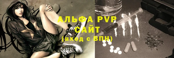 ECSTASY Богородск