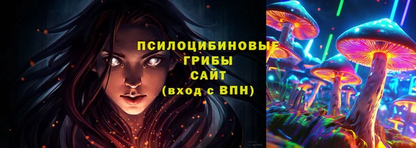ECSTASY Богородск