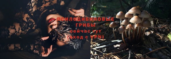 стаф Богородицк