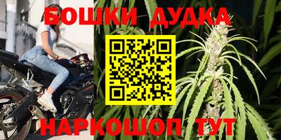 крисы Краснодар