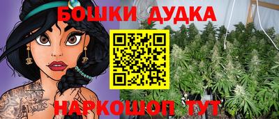 крисы Краснодар