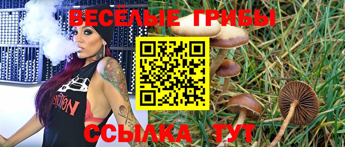 Псилоцибиновые грибы Cubensis  Псилоцибиновые грибы прущие грибы  Маркс  Вход с VPN 